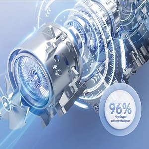 Imported Oxygen Generation and Pressurization System
96% High-Purity Oxygen Generation